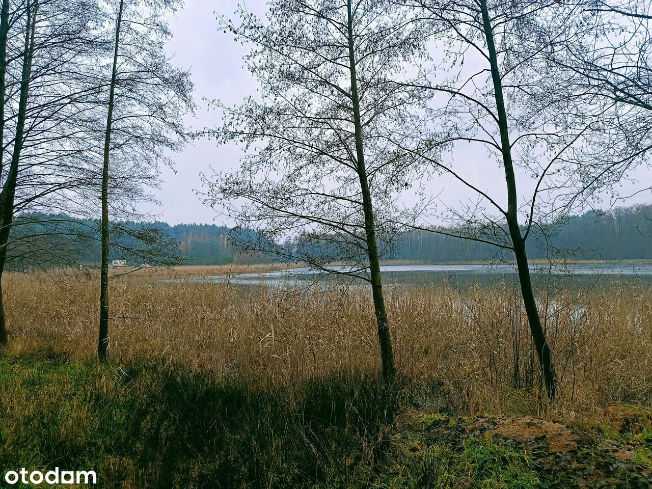 Działka z linią brzegową w Mężyku - Biała-7