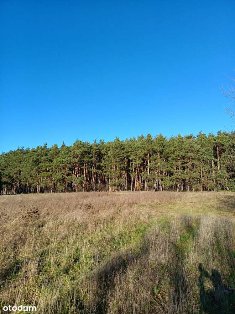 INWESTYCJA W MIEJSCE, DO KTÓREGO BĘDZIESZ WRACAĆ Z PRZYJEMNOŚCIĄ-4