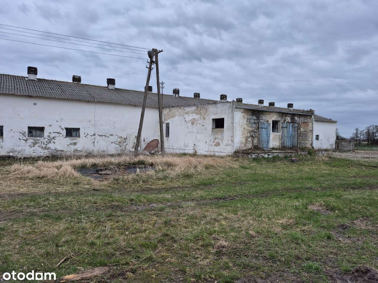 Działka rolna 9786 m² w cichej okolicy - Pełny obrazek: 4/6