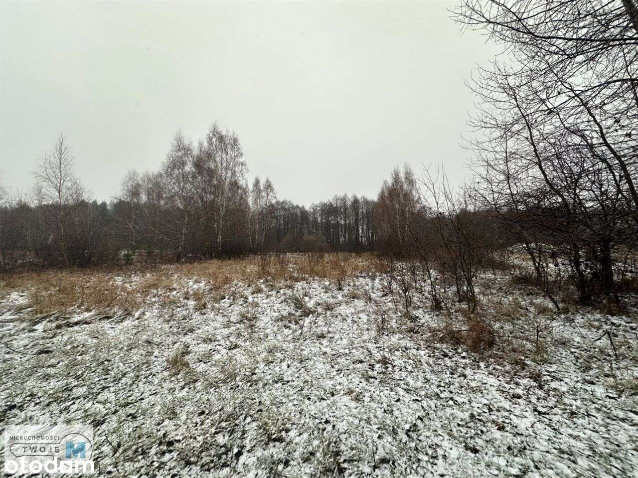 Działki rolne z lasem w Śladkowie Dużym-9