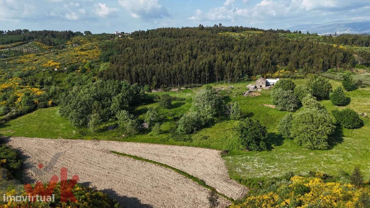 Quinta com 5.4 hectares | Ruína e Açude - Grande imagem: 5/20