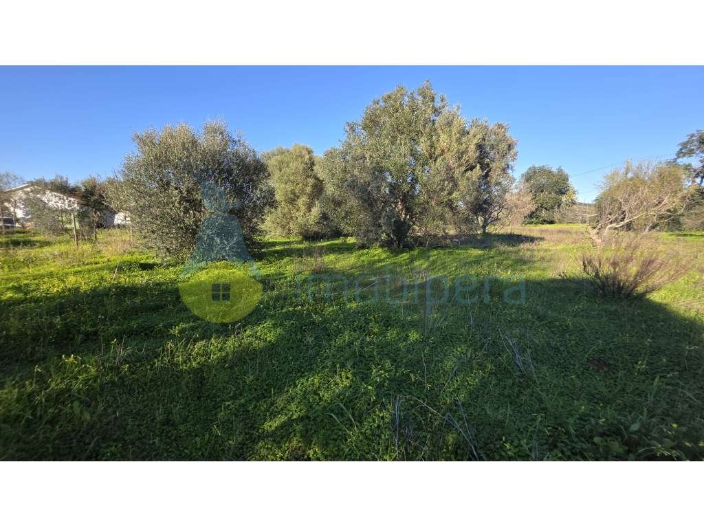 Sítio dos Barreiros - Paderne - Grande imagem: 2/4