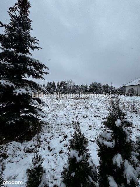 Piękna działka budowlana w Ksawerowie-2