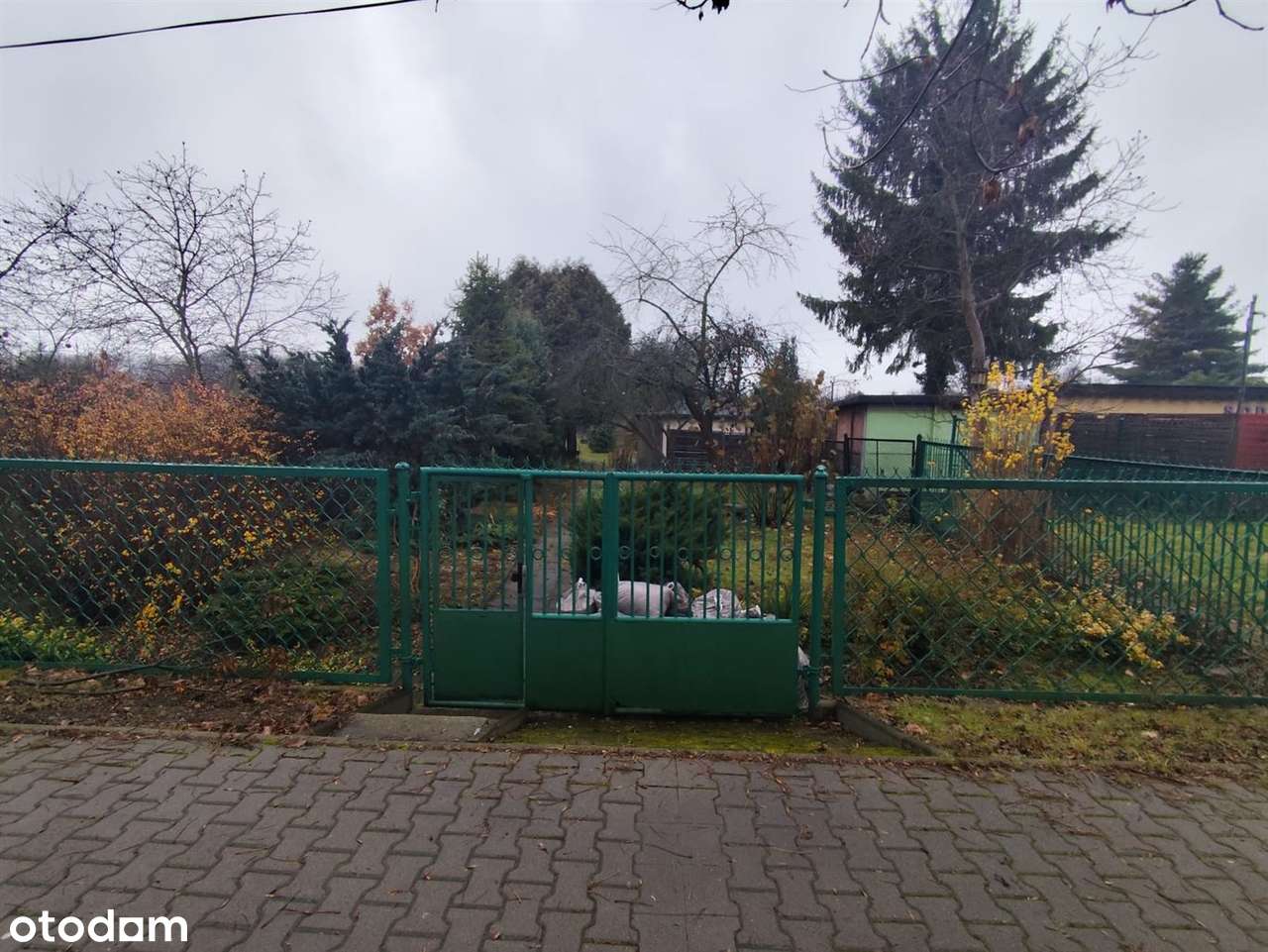 Działka rekreacyjna blisko Pogorii III-2