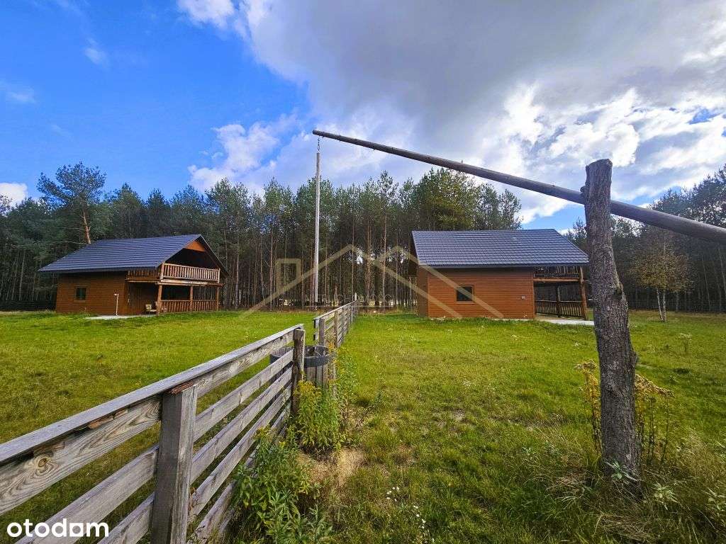 Drewniany dom letniskowy na 30-arowej działce w środku lasu - Pełny obrazek: 4/20