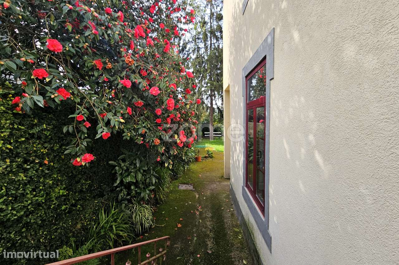 Moradia T4 com jardim junto ao jardim da Arca de Água - Grande imagem: 4/40