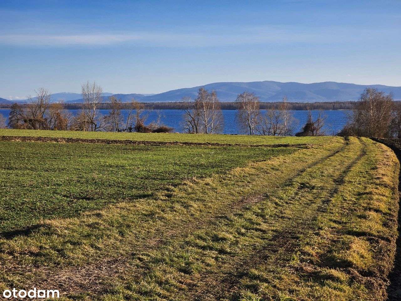 Widokowa działka rolna nad Jeziorem Goczałkowickim - Pełny obrazek: 4/8