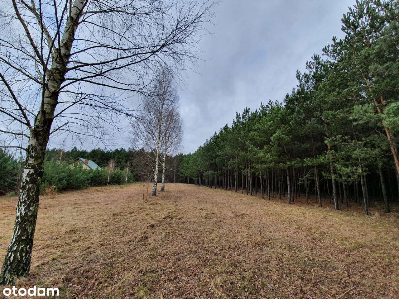 Działka z pozw. na budowę, projekt Inovia, j. Białe-8