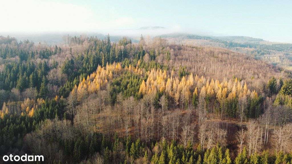 Działka Park Krajobrazowy Kolorowe Jeziorka 4048m²-6