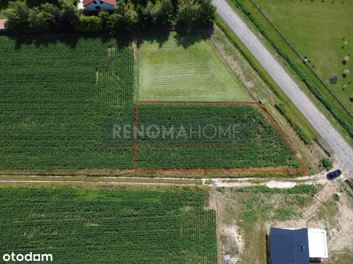 Dobrzeń | Działka 1448m2 z Warunkami Zabudowy - Pełny obrazek: 5/6