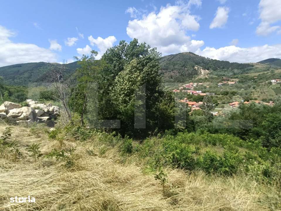 Cabana la rosu 150 mp cu teren de 3500 mp in Ampoita - Imagine principală: 3/5