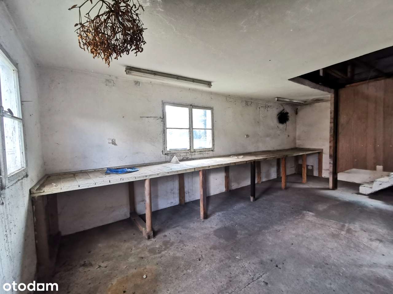 Dom z budynkiem gospodarczym, Stare Miasto-18