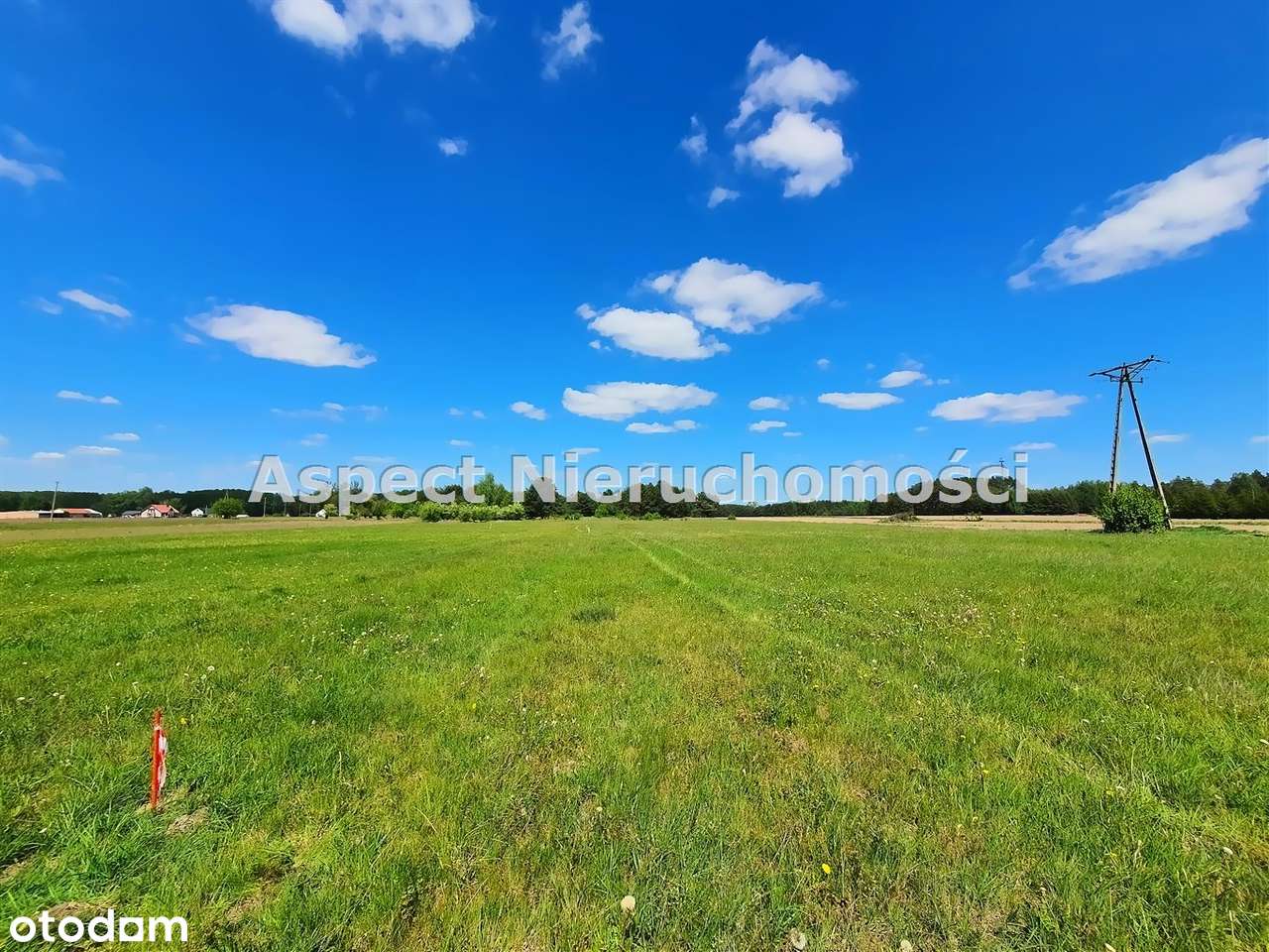 **Działka w otulinie Parku Narwiańskiego*3000m2** - Pełny obrazek: 4/6