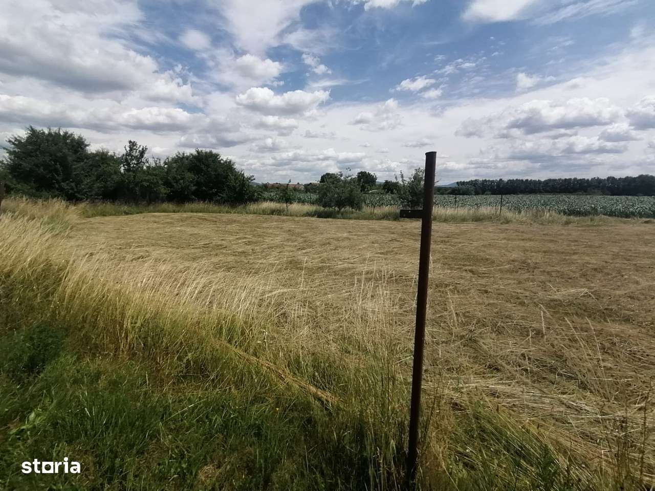 Teren intravilan de vanzare P Olt - Imagine principală: 5/6