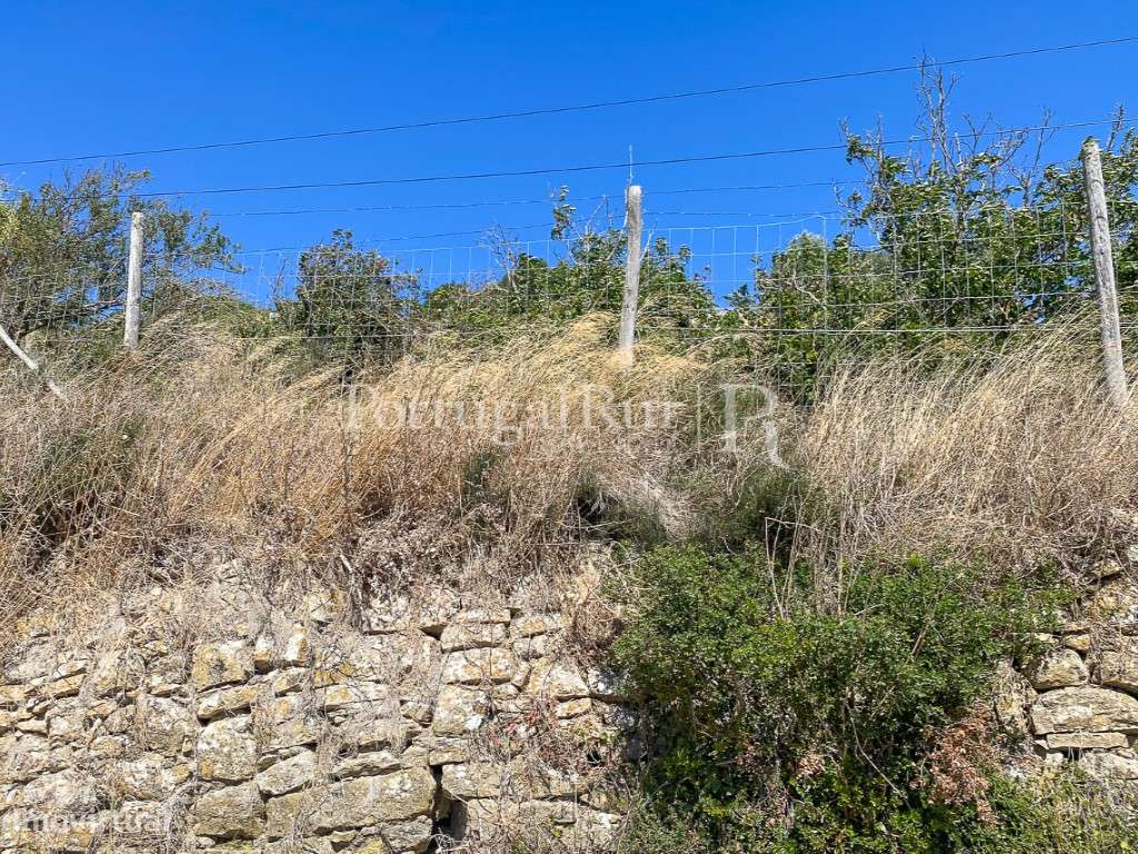 Complexo Agricola com 35.640 m² e 1.907 m² de área de construção-43