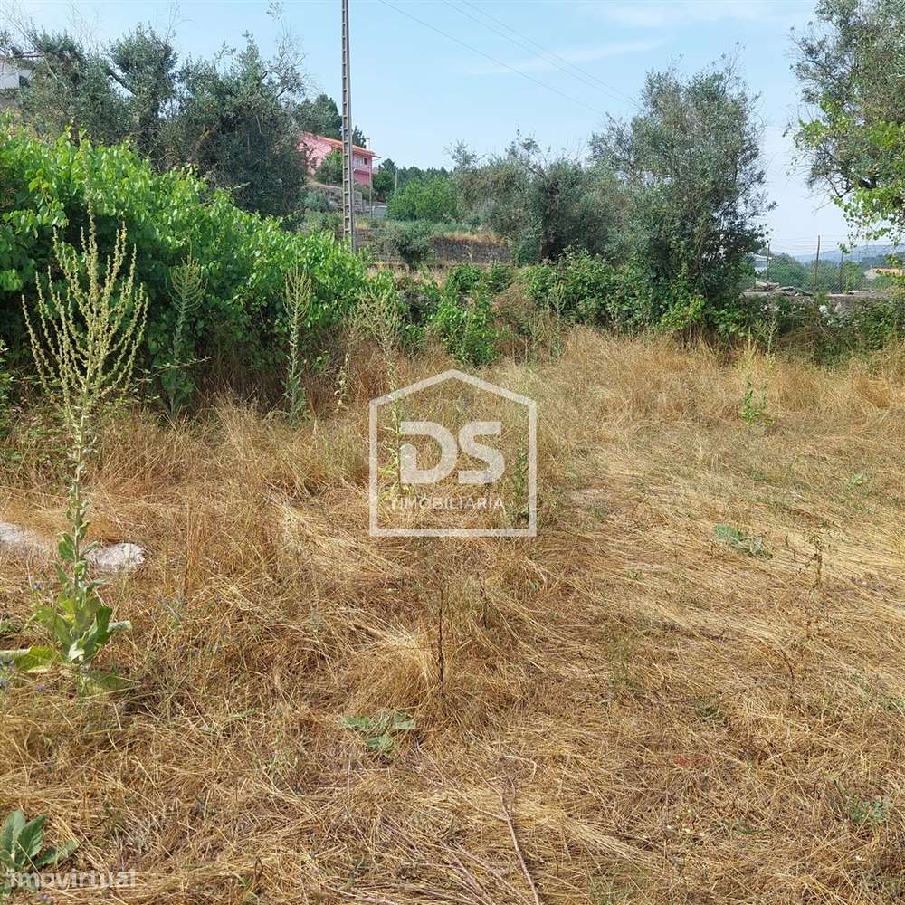 Lote de Terreno  Venda em Juncais, Vila Ruiva e Vila Soeiro do Chão,Fo-33