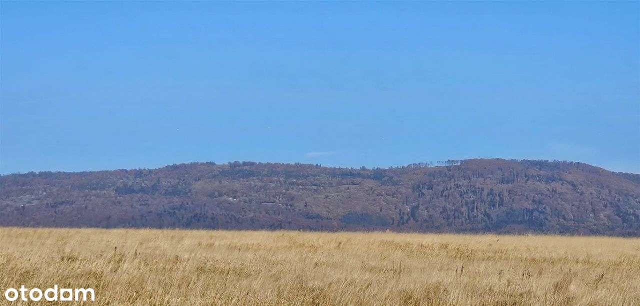 Działka z Widokiem na Góry – Pietrzykowice, 1000m² Pod Zabudowę - Pełny obrazek: 5/7