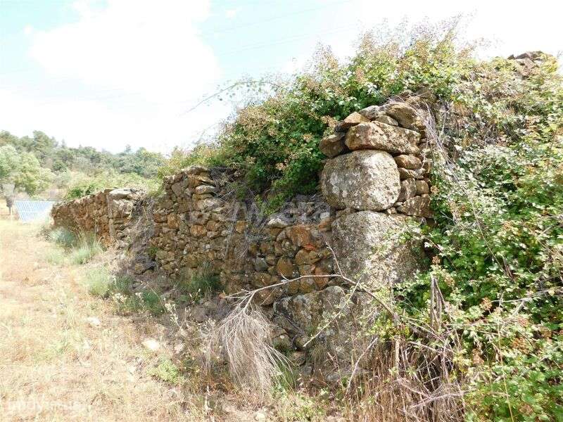 Terreno / Fundão, Pêro Viseu - Grande imagem: 4/14