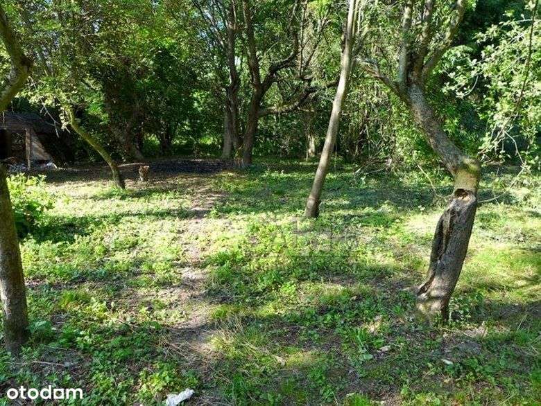 Zwierzyniec, Działka rekreacyjna 300 m2-2