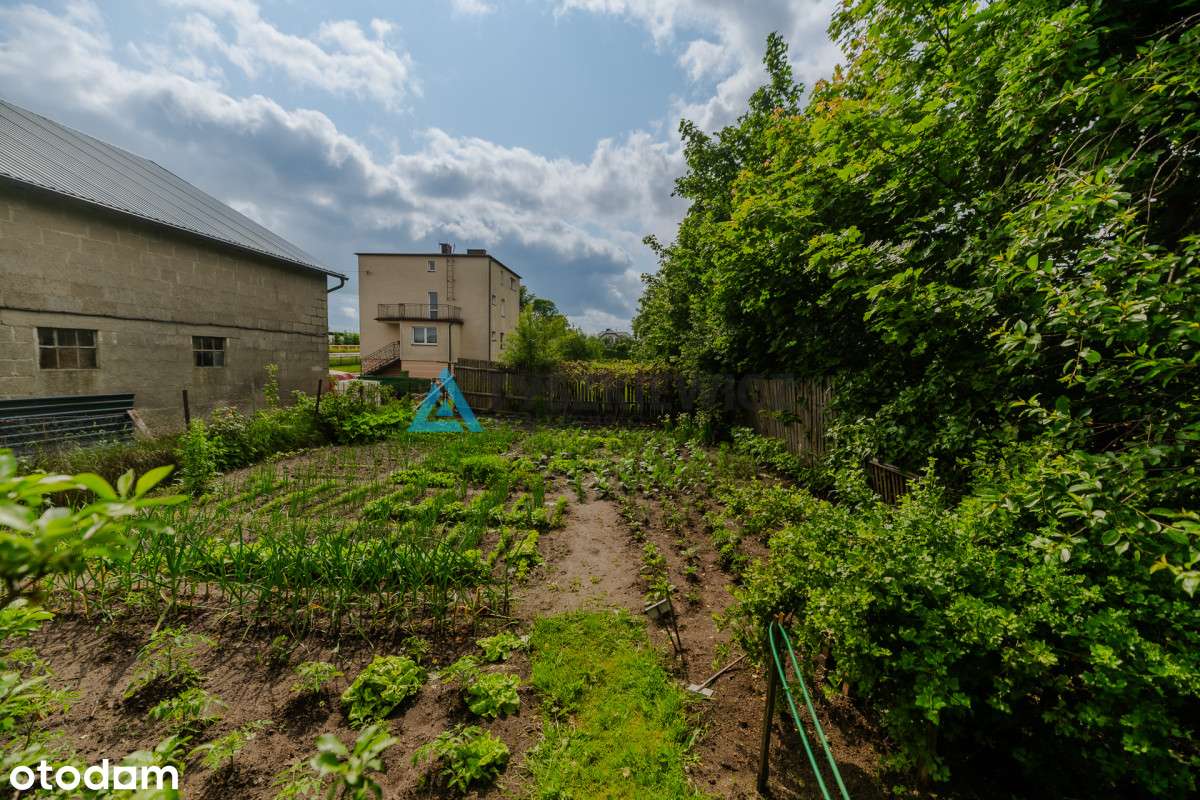 Sierakowice - przytulny dom z dużym ogrodem - Pełny obrazek: 4/20