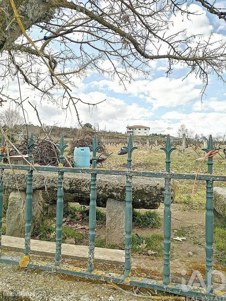 Terreno para construção em Ervededo de 9600,00 m2 - Grande imagem: 5/10
