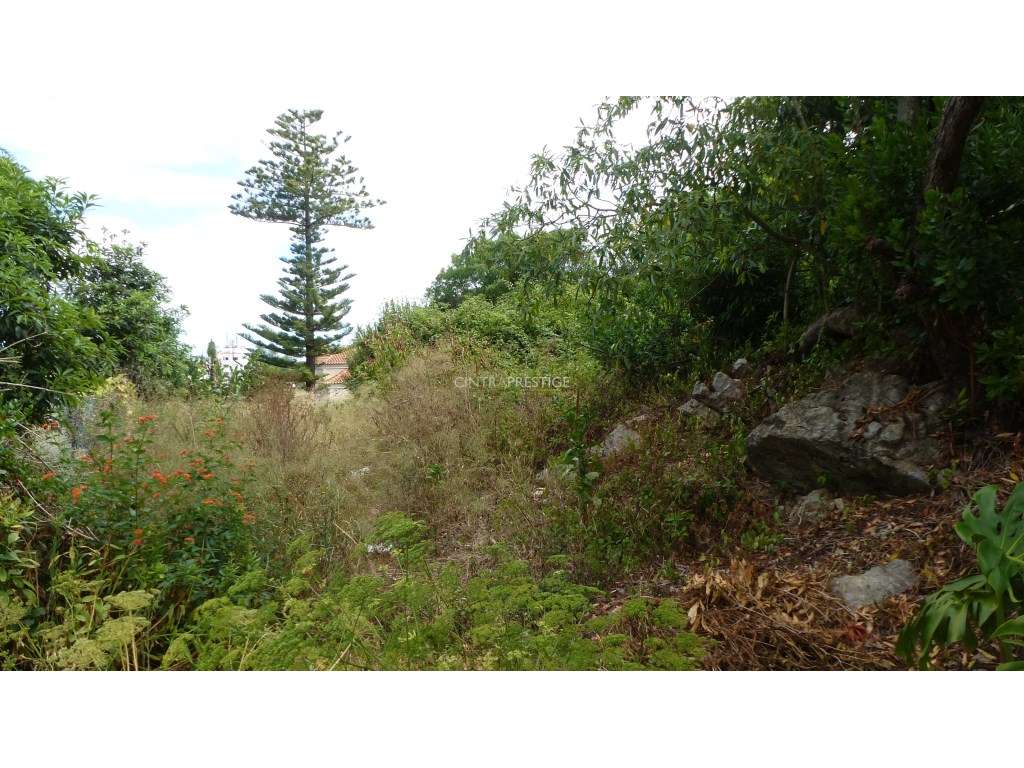 Terreno Urbano com 856m2 PIP em Aprovação na Portela de Sintra-7