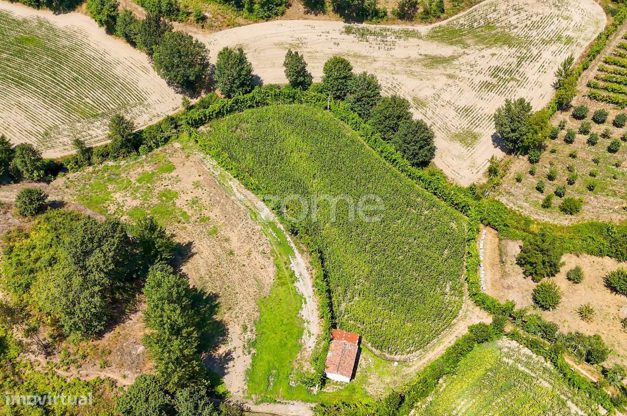 Terreno, 2 386 m², São Gens-11