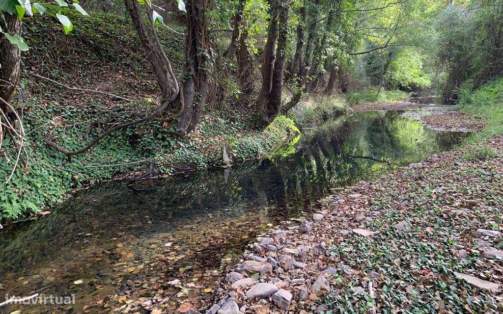 Terreno Rústico - Grande imagem: 4/5