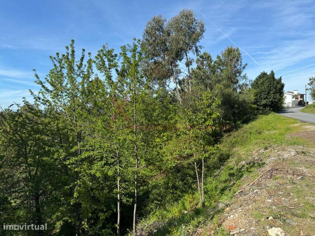 Terreno para Construção em São Romão - Seia - Serra da Estrela - Grande imagem: 4/6