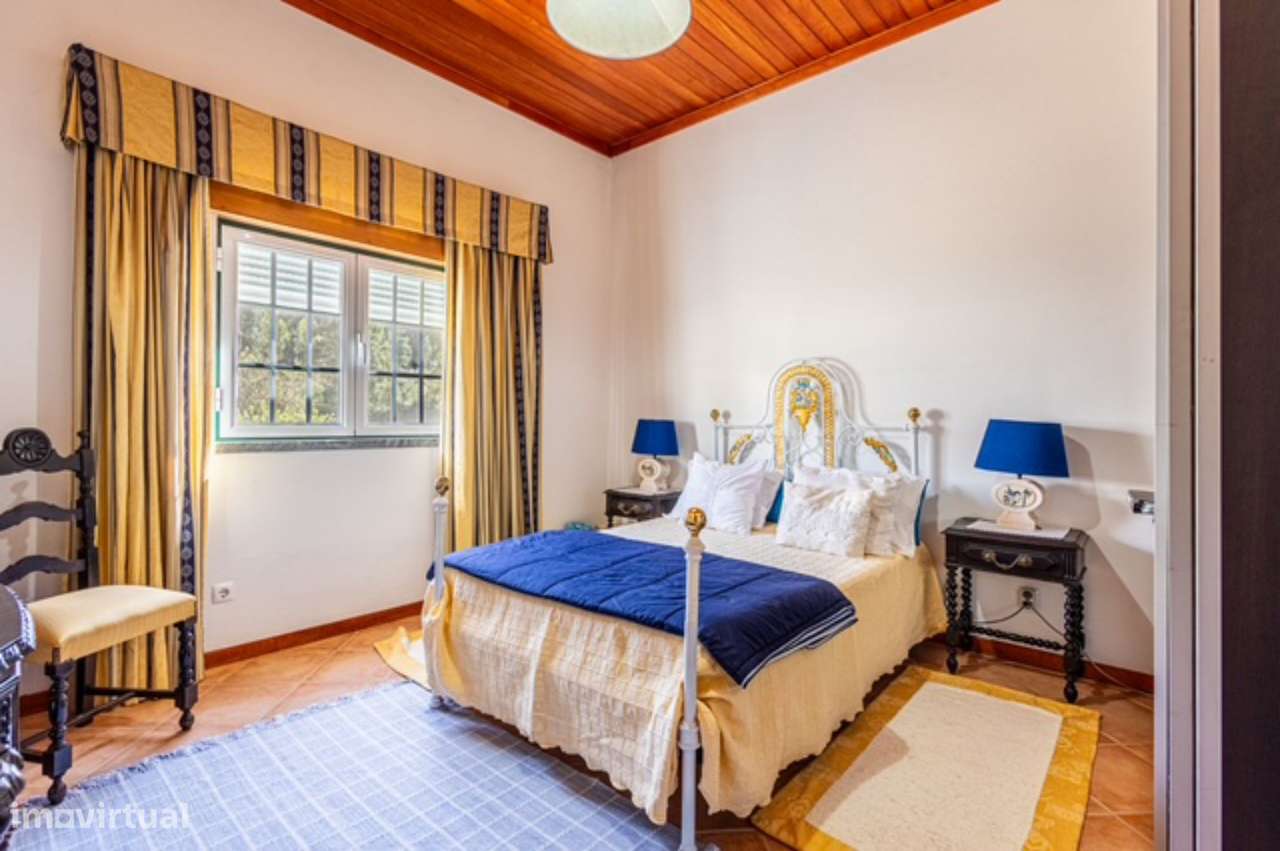 Quintinha com habitação, armazéns e terreno - Rio Maior-18