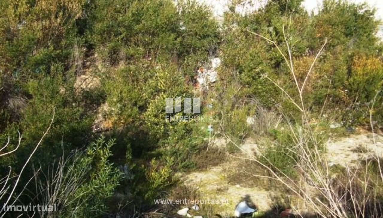 Venda de Lote, Darque, Viana do Castelo - Grande imagem: 3/30