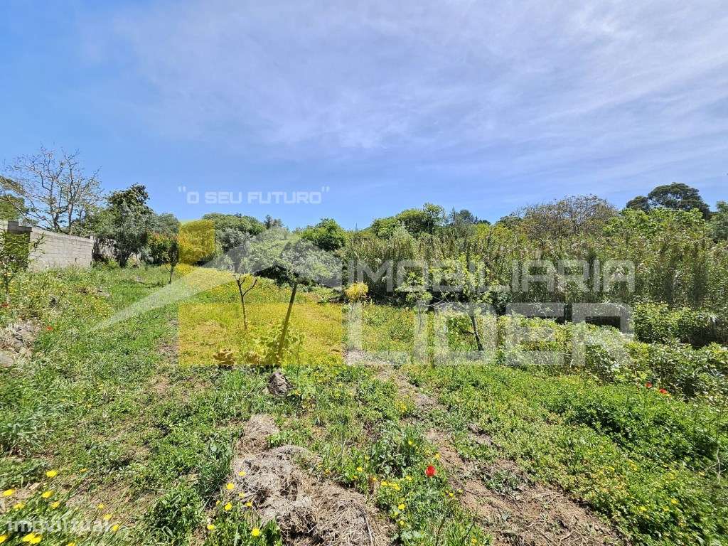 Terreno Rústico com 1.000 m2 na Malveira-Mafra.-15