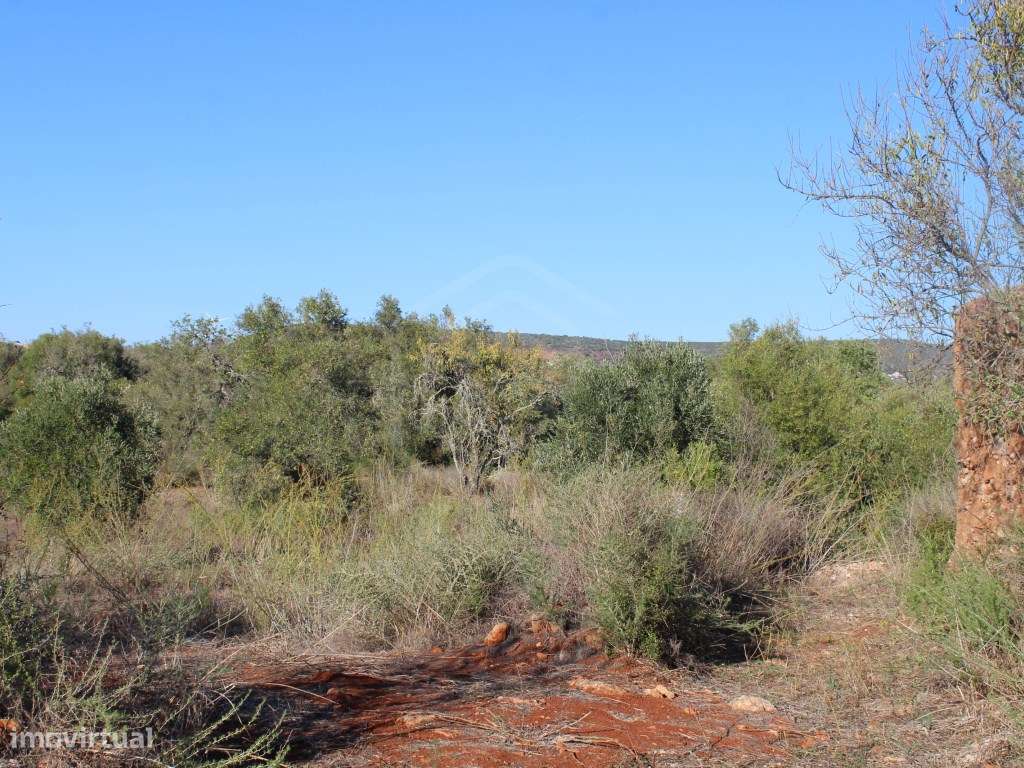 Terreno com ruína no Barrocal Algarvio, São Bartolomeu de Messines - Grande imagem: 3/18