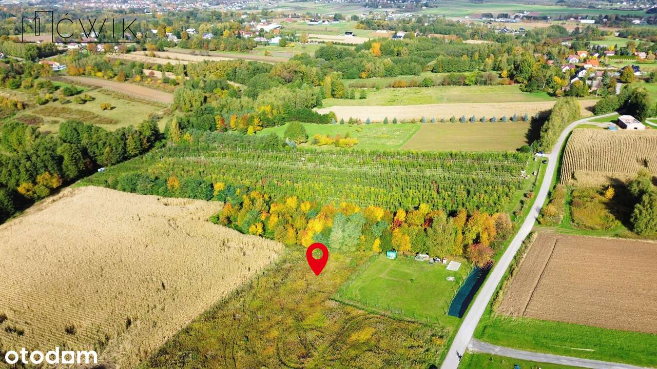 Piękna działka budowlana 29 ar - 12 min od Brzeska - Pełny obrazek: 5/19