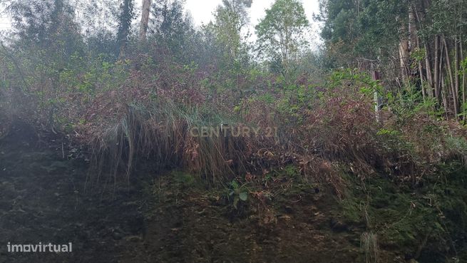 Terreno Rustico em Crestuma, Vila Nova de Gaia-1