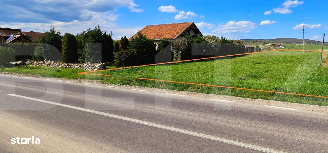 Teren intravilan 2.100 mp – Valea Crisului, la intrare in localitate - Imagine principală: 2/2