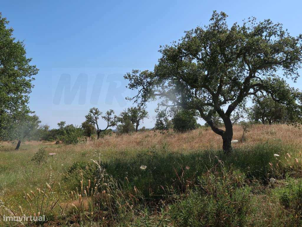 Refúgio rural de amplo potencial - Grande imagem: 5/26