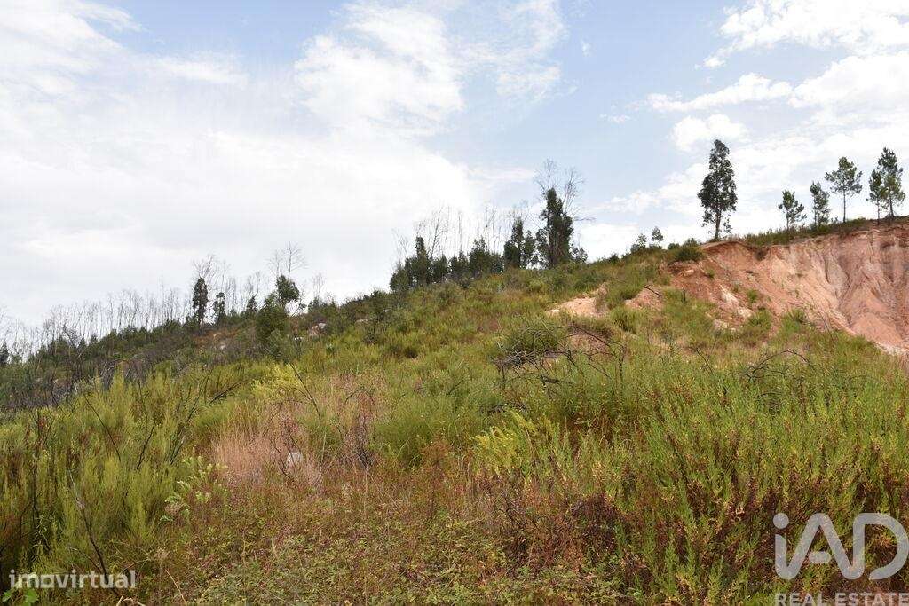 Terreno em Areias e Pias de 3240,00 m2 - Grande imagem: 4/18