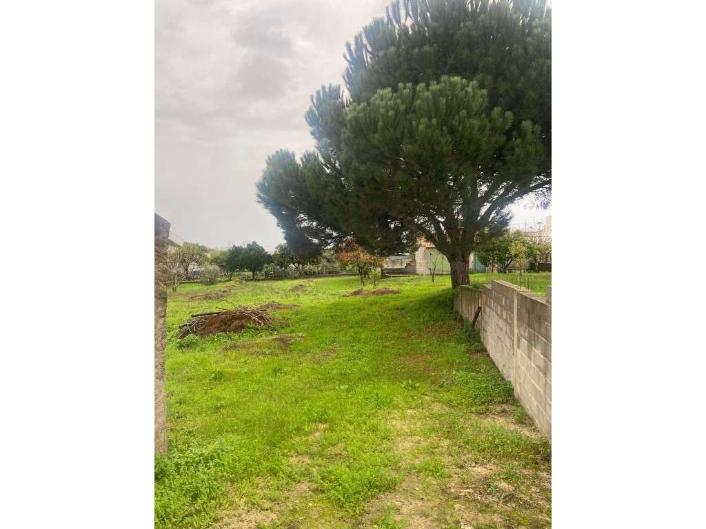 Casa térrea para recuperar na Carapinheira-21