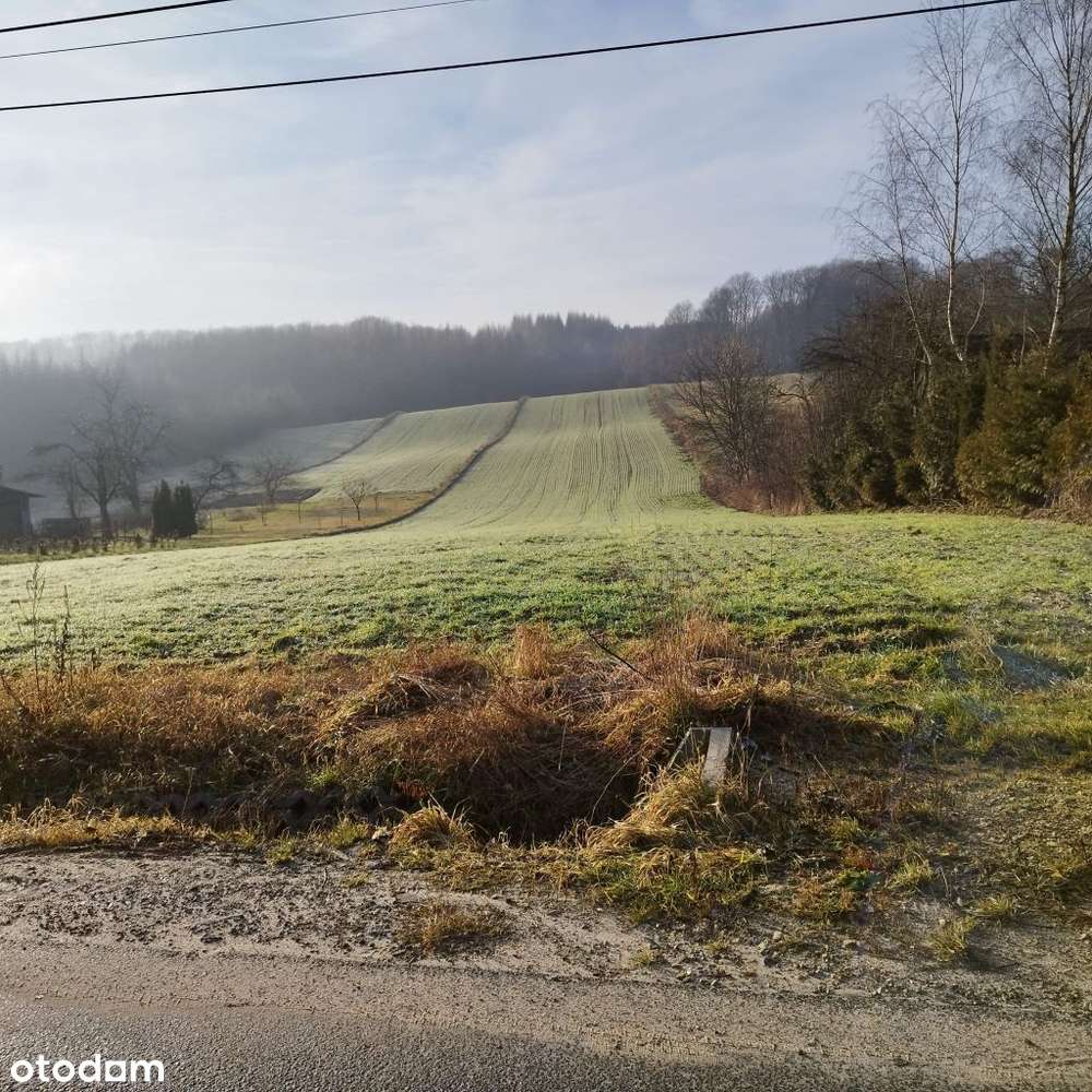 Duża działka rolna 12576 m² blisko lasu - Pełny obrazek: 5/6