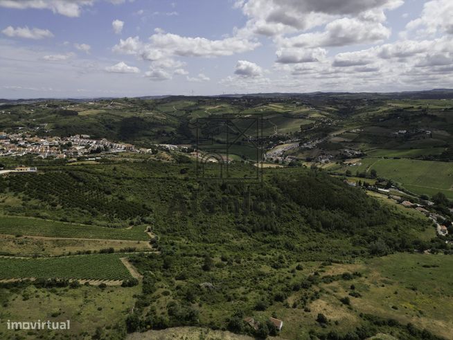 TERRENO MISTO COM 48Ha EM ALENQUER!-7