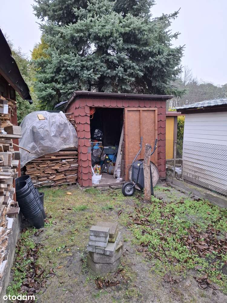 Ładna działka ROD Zielony Gaj na Prądach. OKAZJA!!!-13