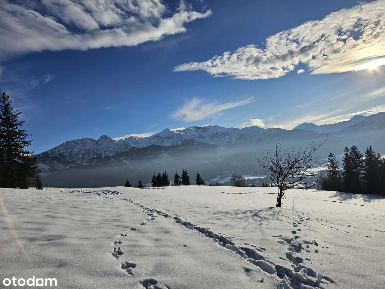 OKAZJA! Działka z PANORAMĄ TATR w Kościelisku na BUTOROWYM WIERCHU - Pełny obrazek: 5/9