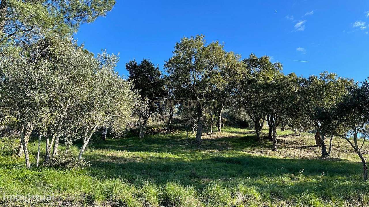 Terreno venda em Martinchel - Grande imagem: 5/11