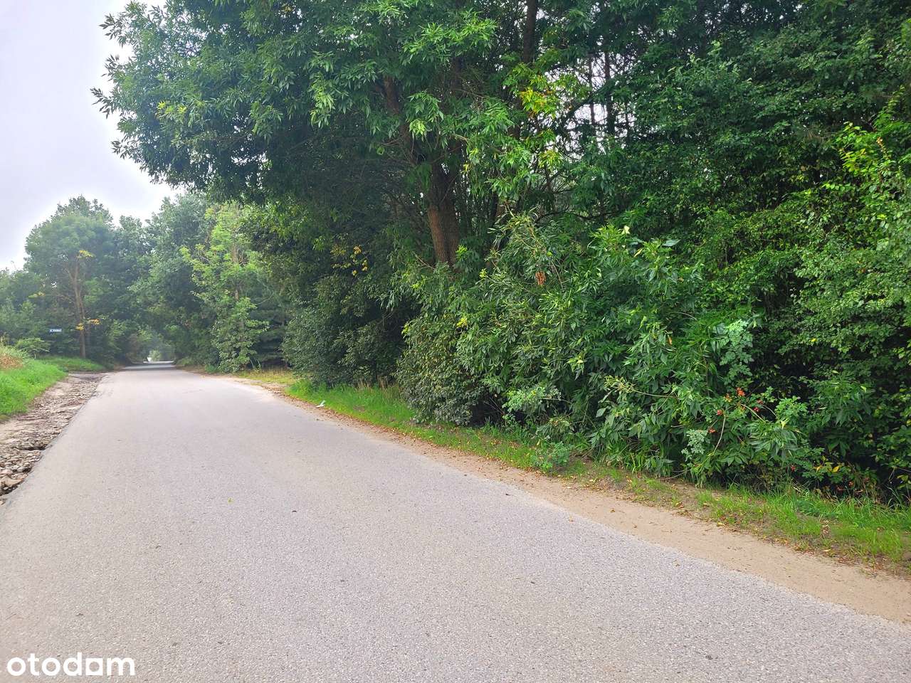 blisko las|PKM|słoneczne|możliwość zakupu działek obok siebie-5