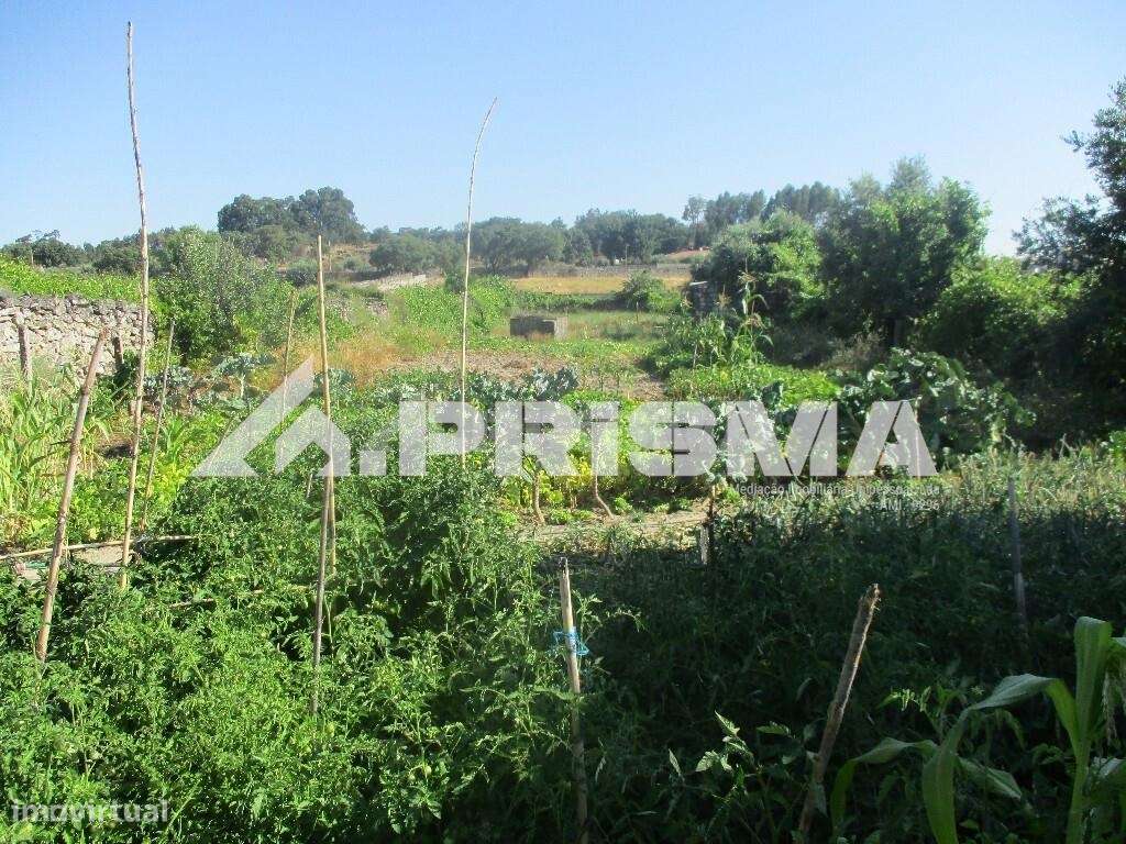 Terreno Rústico para venda em Alcains, Castelo Branco - Grande imagem: 2/7