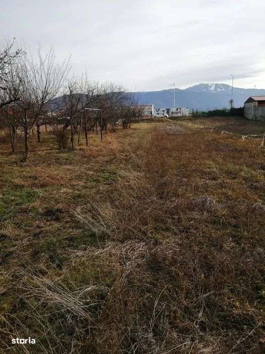 Teren 934 mp Ghimbav - Imagine principală: 1/6