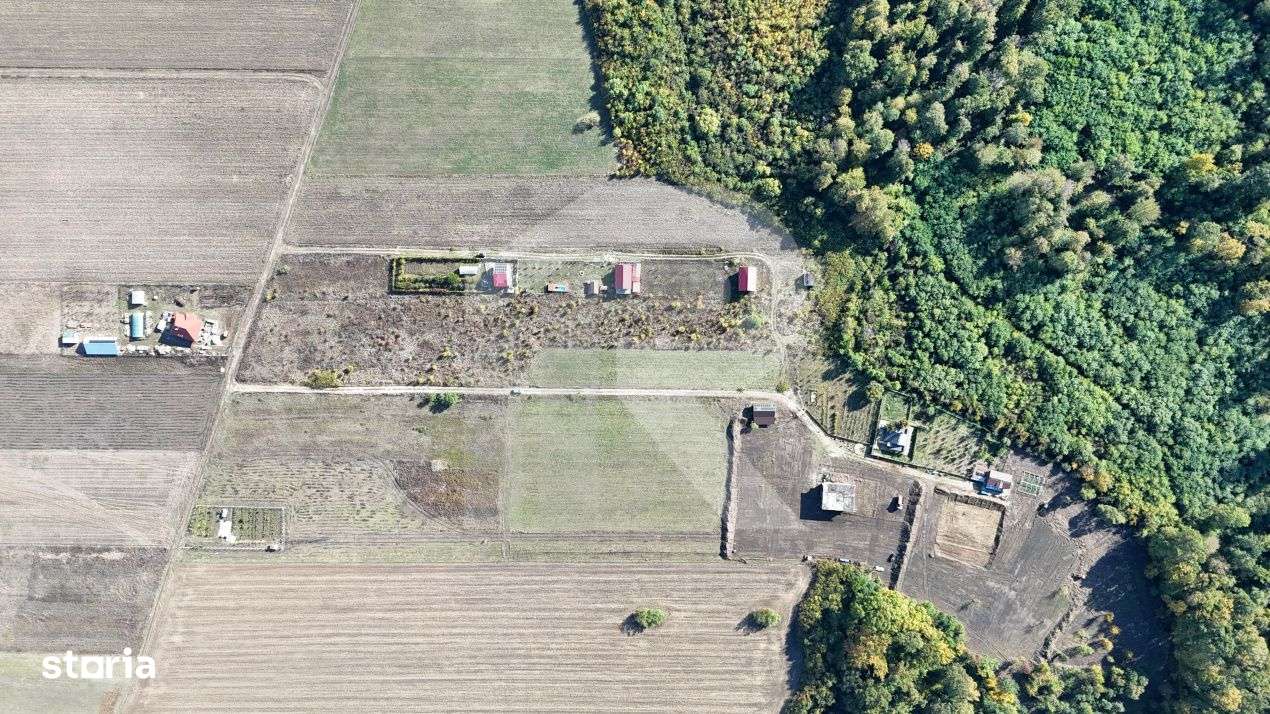 Refugiu la marginea padurii — 1000 mp de liniste in Cocani. - Imagine principală: 3/11