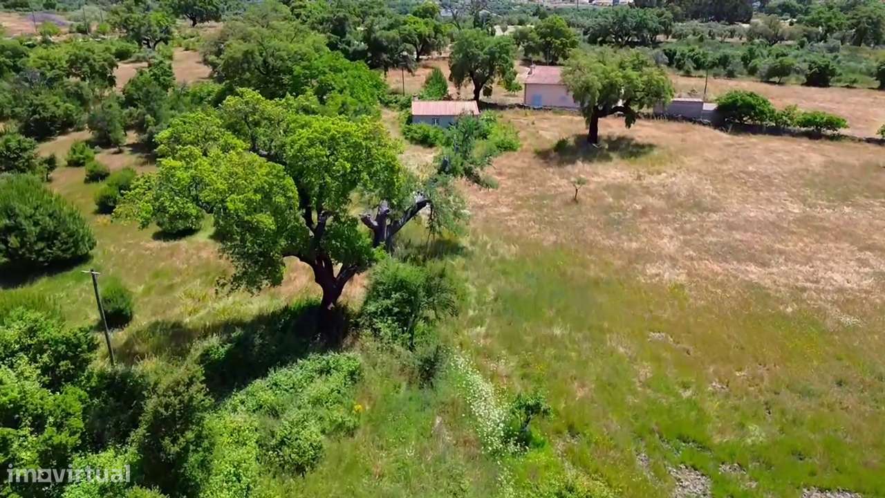 Terreno com casa agrícola para VENDA em São Miguel de Acha-7
