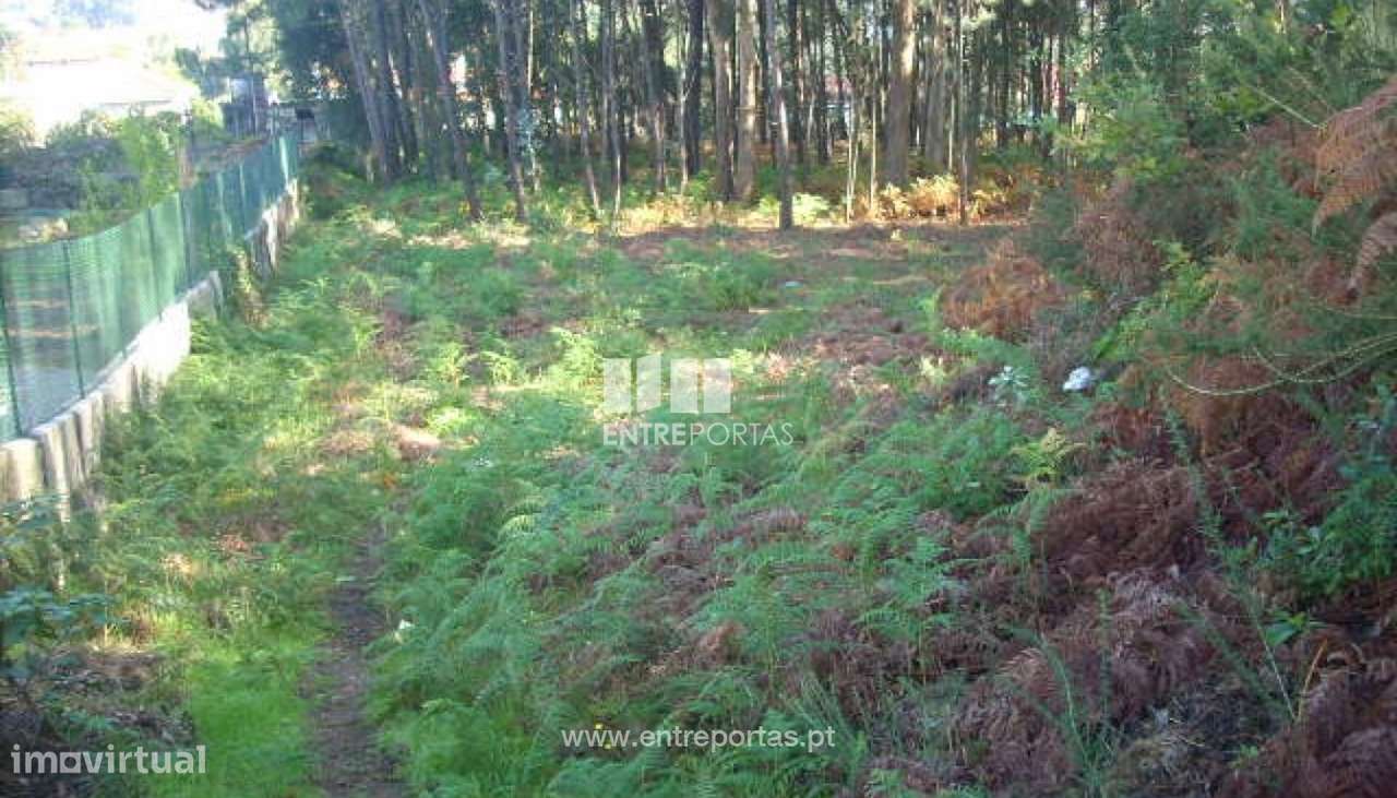 Venda Terreno para loteamento, Vila Boa do Bispo, Marco de Canaveses - Grande imagem: 4/34